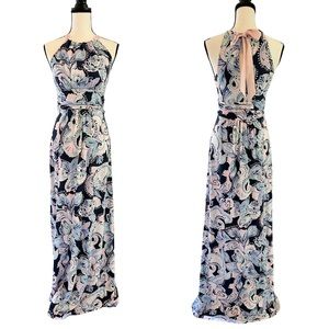 Lilly Pulitzer Martina Maxi Dress Holy Flockamole Blue Pink Floral XS